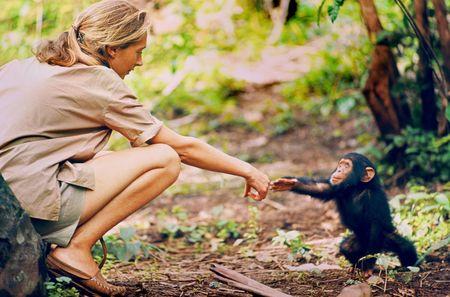 Jane Goodall.jpg