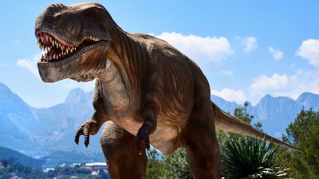 dinasaurs.jpg