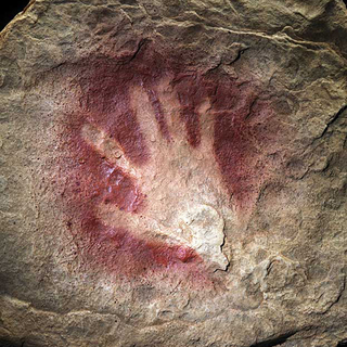 handprint Chauvet.jpg