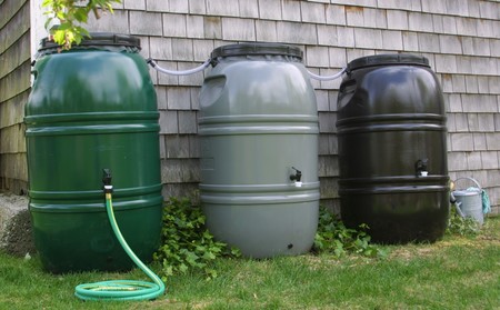 rain barrel in America.JPG